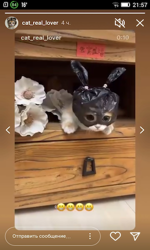 Скриншот 1